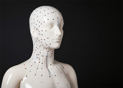 mannequin médical avec points d'électroacupuncture