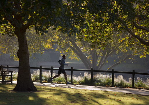 someone jogging in a park on a sunny day