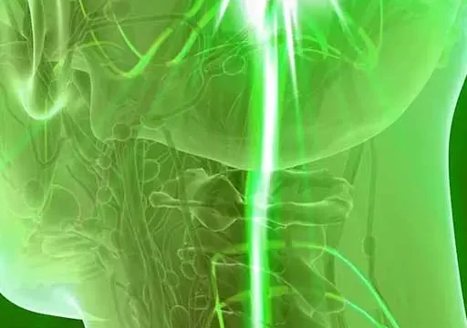 vagus nerve location from brain through the neck